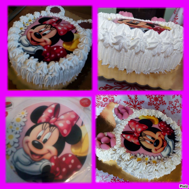 Desert tort  Minnie