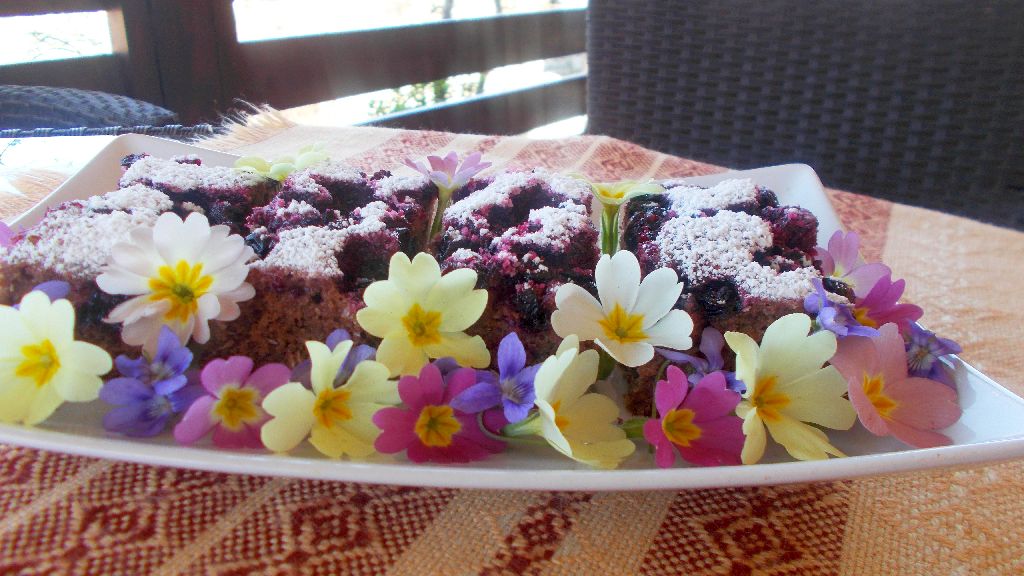 Desert negresa de post cu coacaze negre