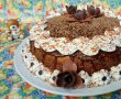 Desert tort amandina-5