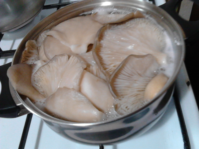 Aperitiv pleurotus pane