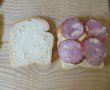 Friganele sandwich-1