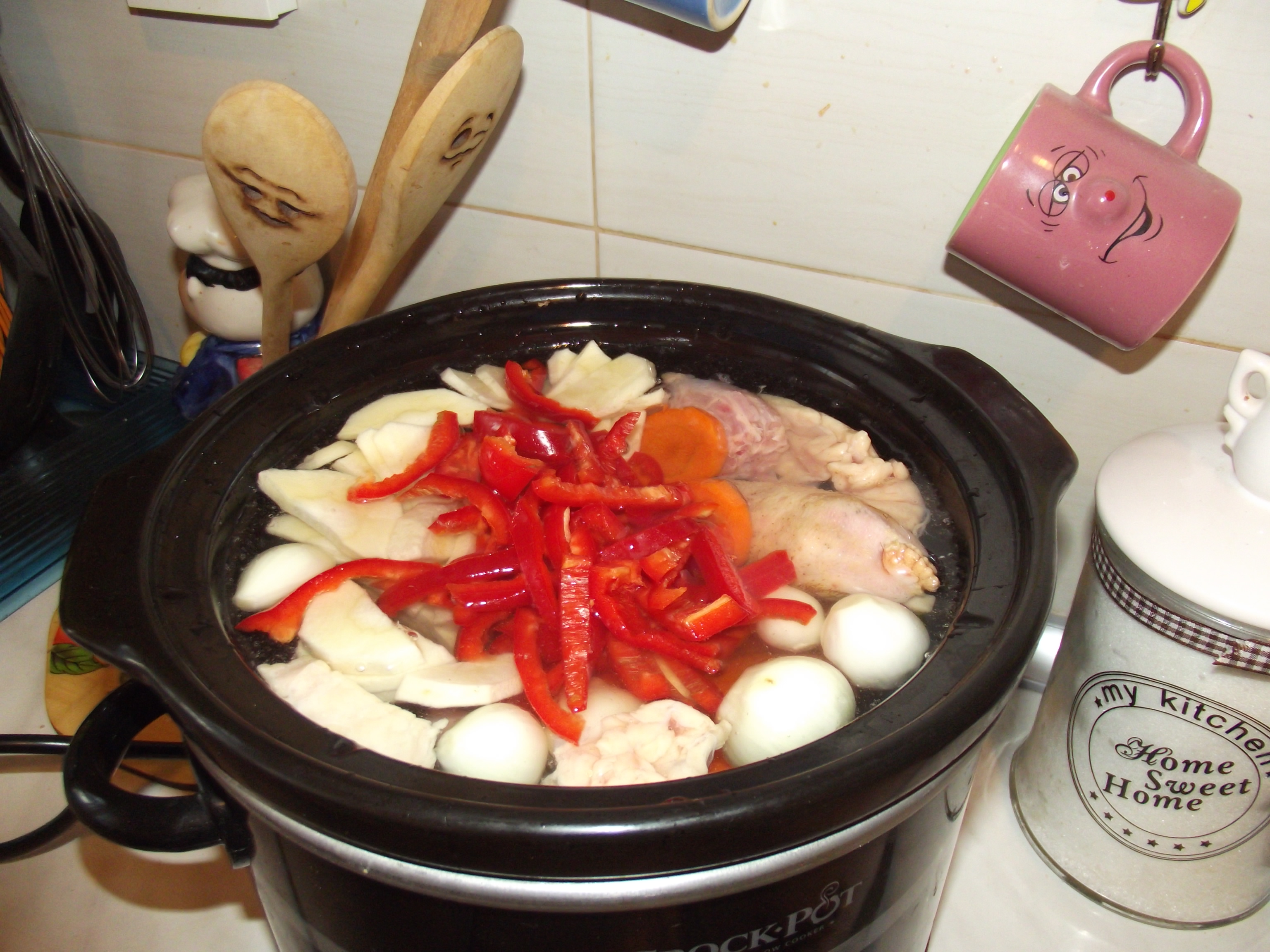 Supa Gogu-Pintenogu cu taitei de casa la slow cooker Crock-Pot