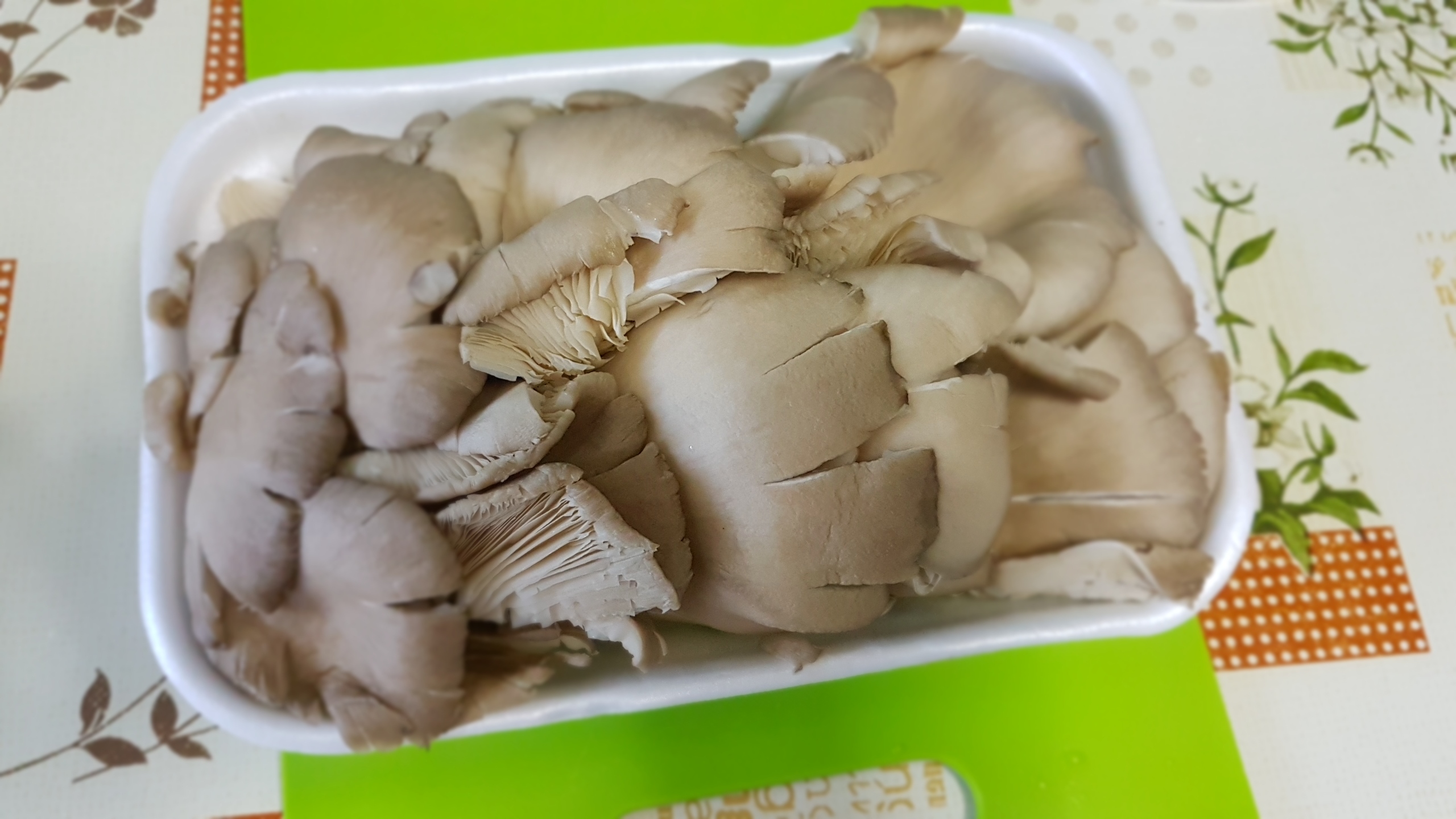 Tocanita de pleurotus la slow cooker Crock-Pot