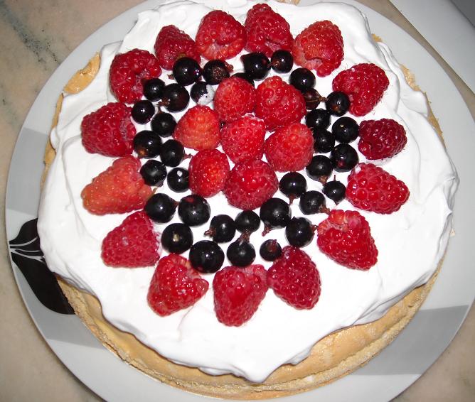 Wild Pavlova