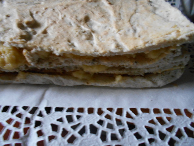 Desert tort egiptean