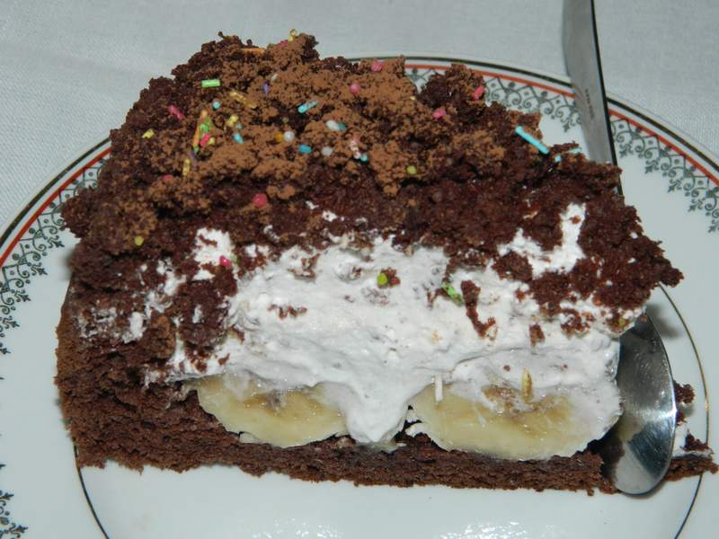 Desert tort musuroi de cartita