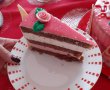 Desert tort Pink-17