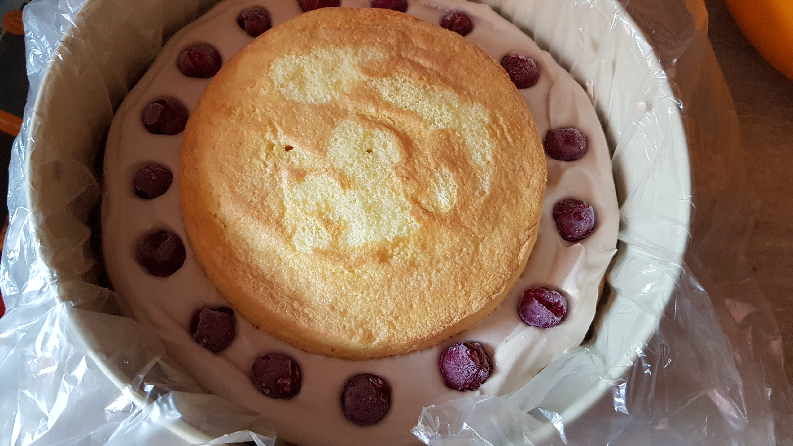 Desert tort 10 ani