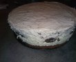 Desert tort Oreo-13