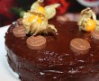 Desert tort Sacher-19