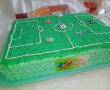 Desert tort teren de fotbal-24