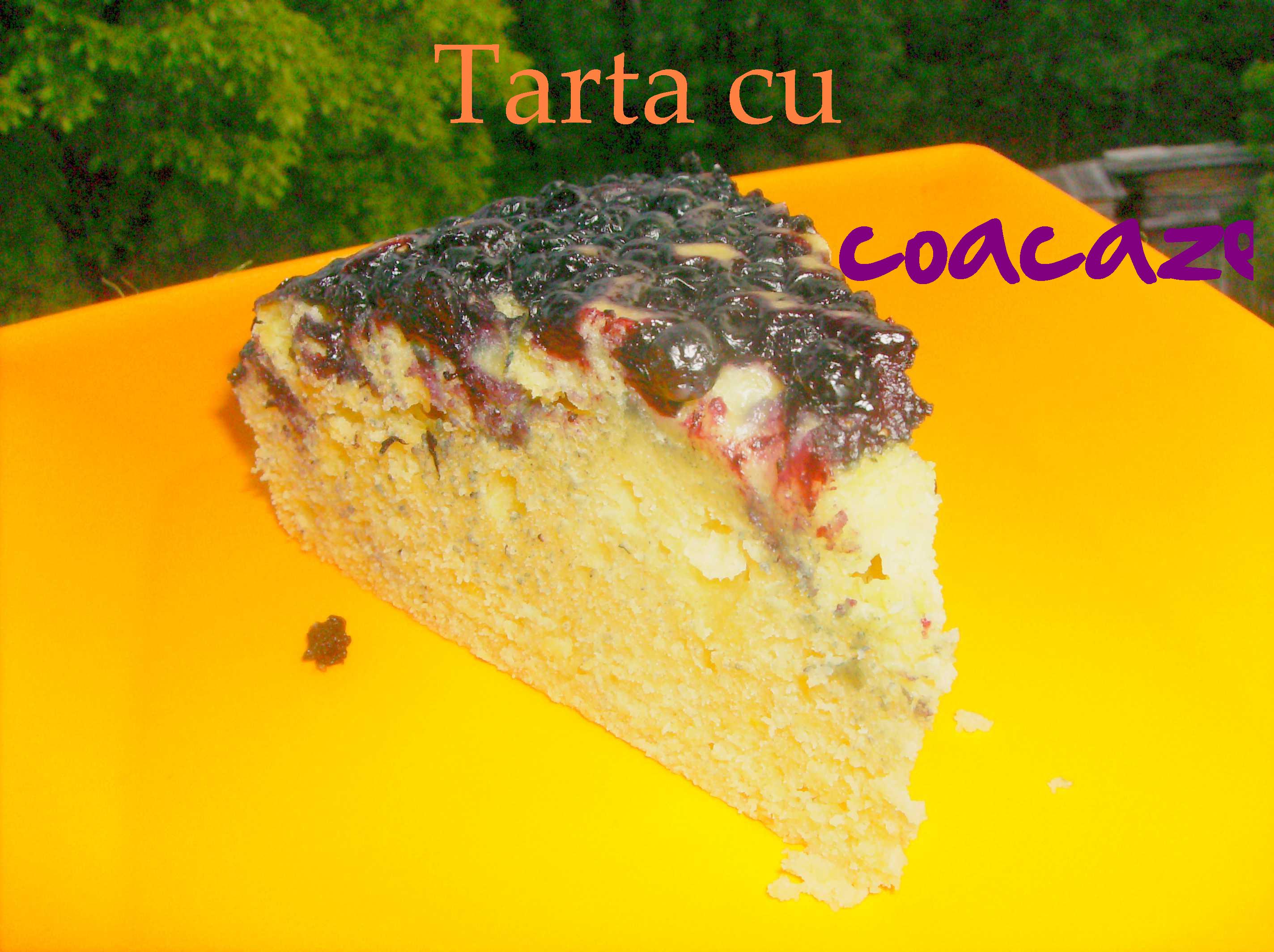 Tarta cu fructe de sezon