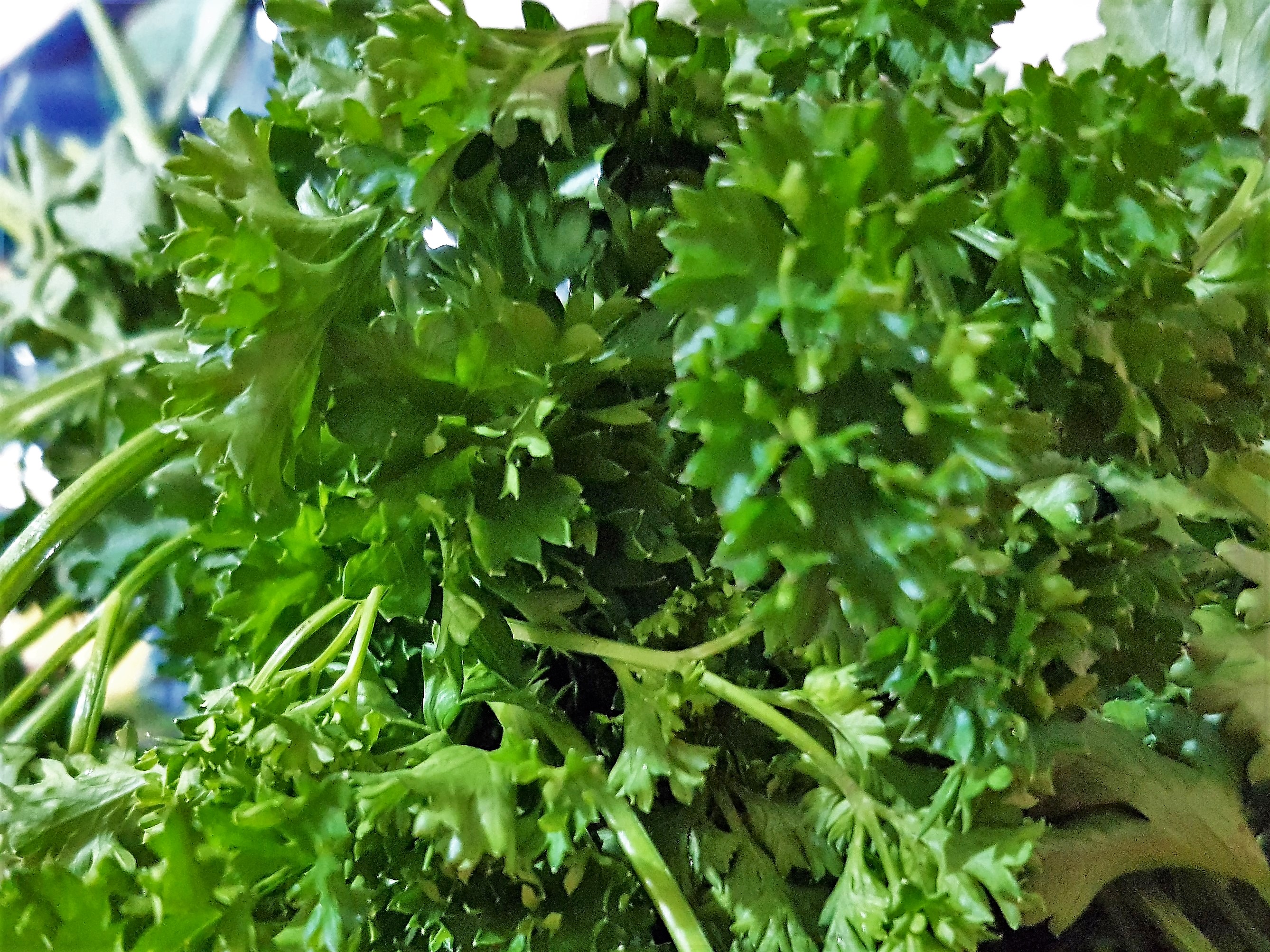 Ciorba taraneasca de vara