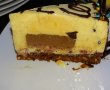 Desert tort Revedere-50