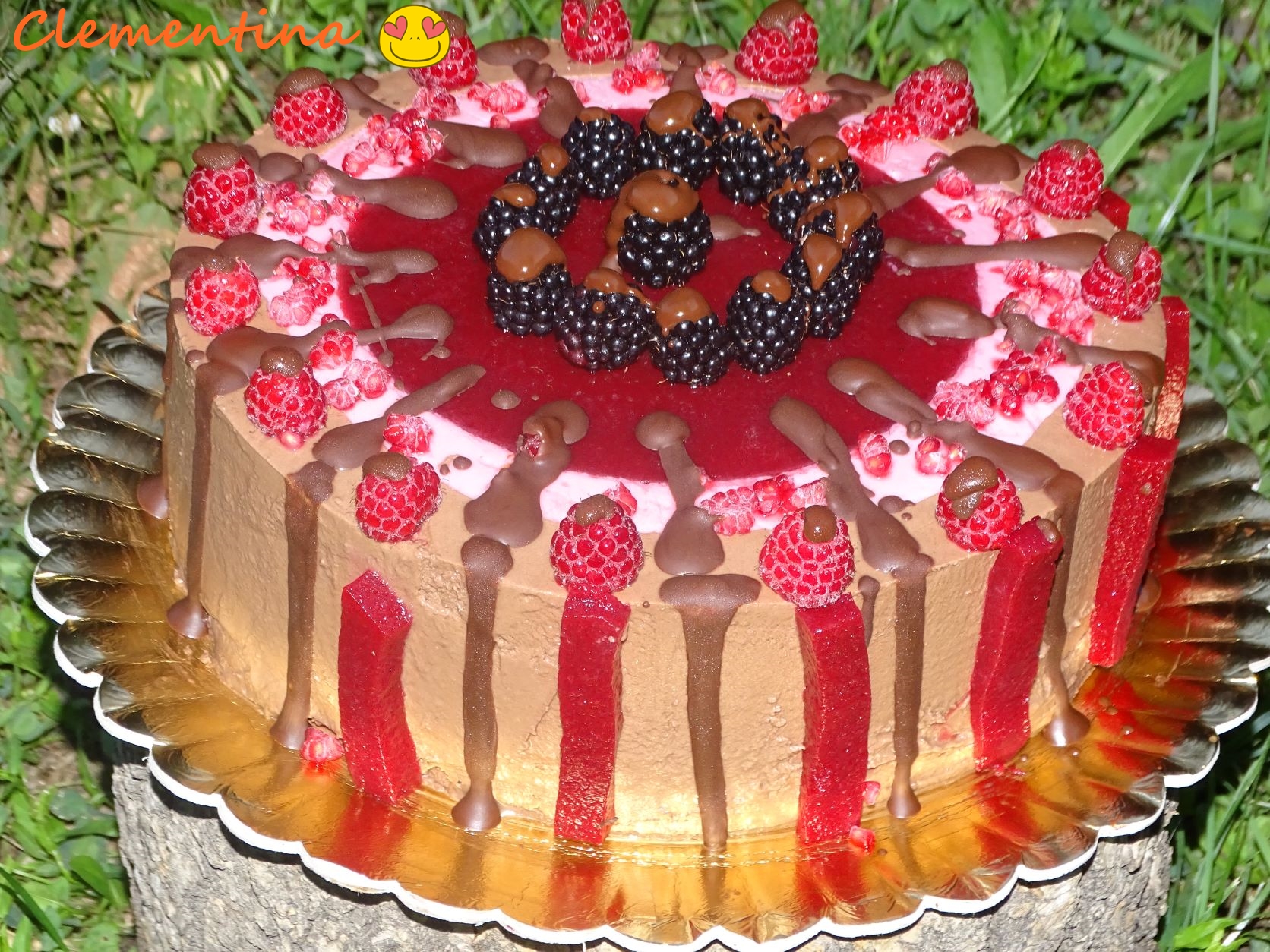 Desert tort Maria