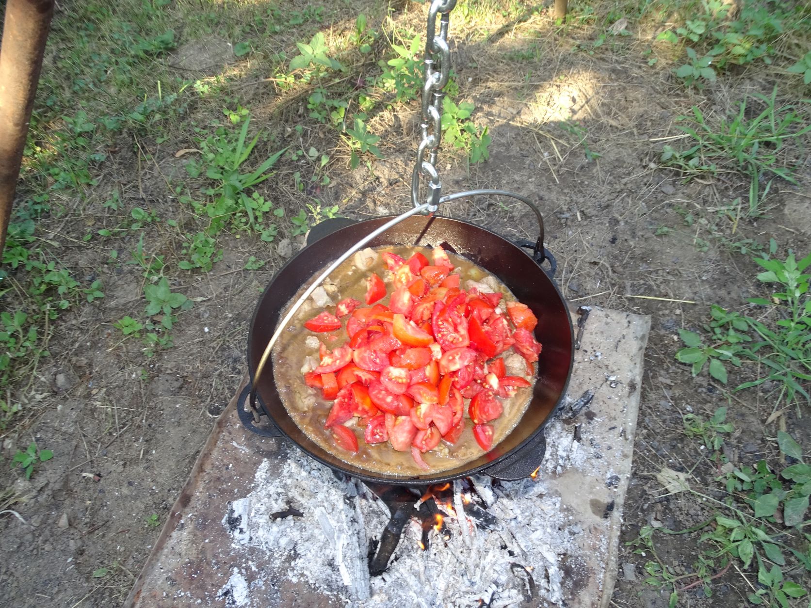 Tocana sau ceaunata-wok