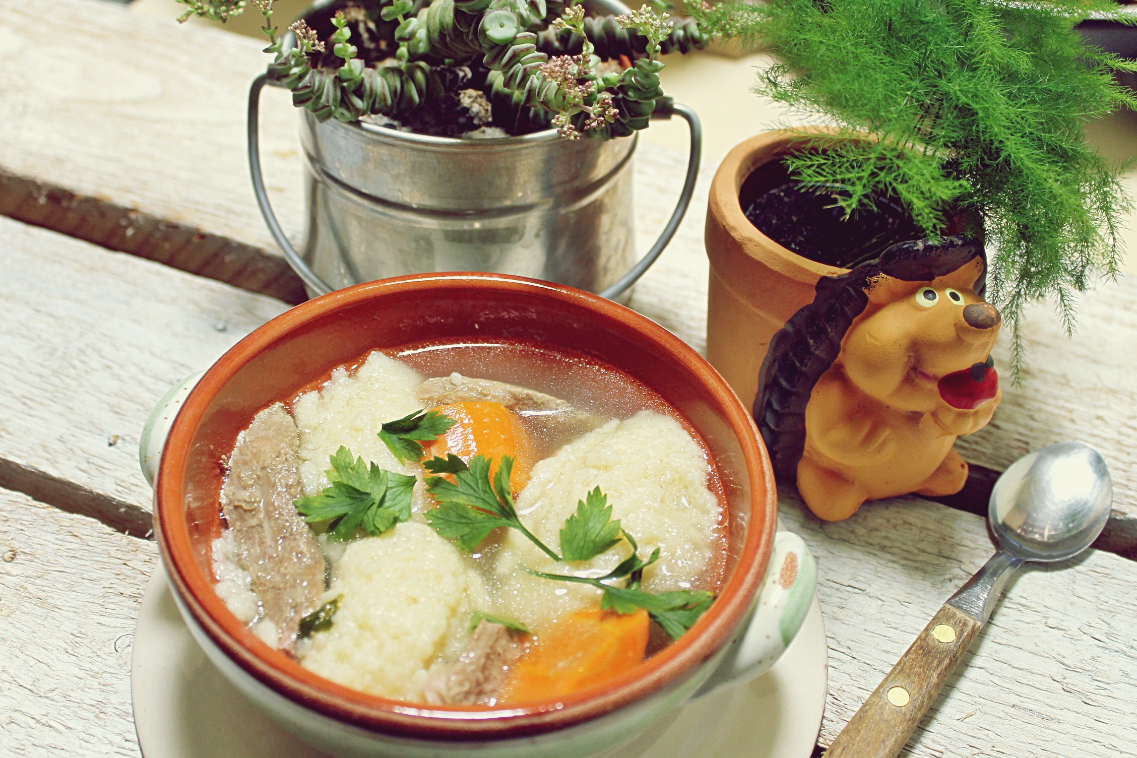 Supa din carne de rata cu galuste la slow cooker Crock Pot