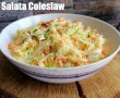 Salata Coleslaw-6