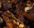 Friptură de miel la tavă - Rețeta tradițională savuroasă pentru Paști-2